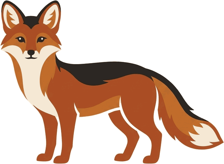 An island fox, standing, ears up